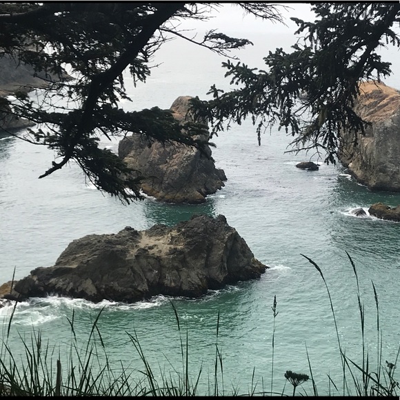 Meet your Posher, Evan - Picture 1 of 1